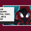 Miles Morales PFP