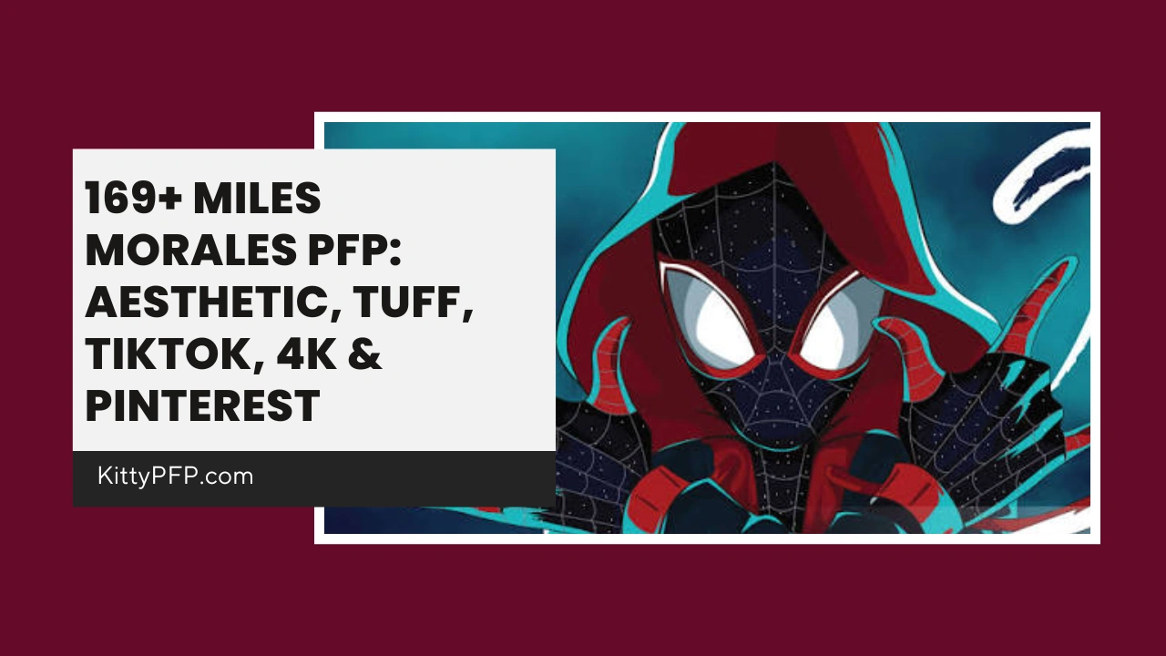 Miles Morales PFP
