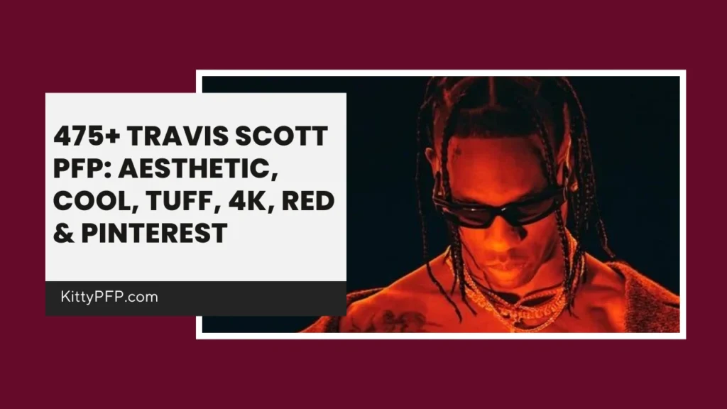 Travis Scott PFP